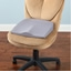 The Posture Improving Seat Cushion